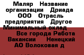 Маляр › Название организации ­ Дриада, ООО › Отрасль предприятия ­ Другое › Минимальный оклад ­ 18 000 - Все города Работа » Вакансии   . Ненецкий АО,Волоковая д.